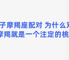 双子摩羯座配对 为什么双子和摩羯就是一个注定的桃花劫